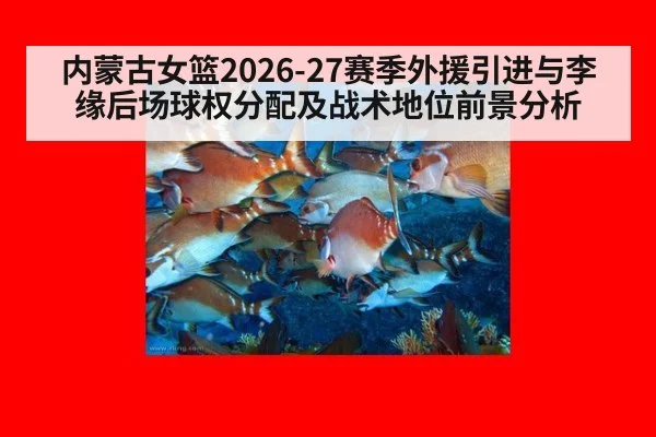 内蒙古女篮2026-27赛季外援引进与李缘后场球权分配及战术地位前景分析